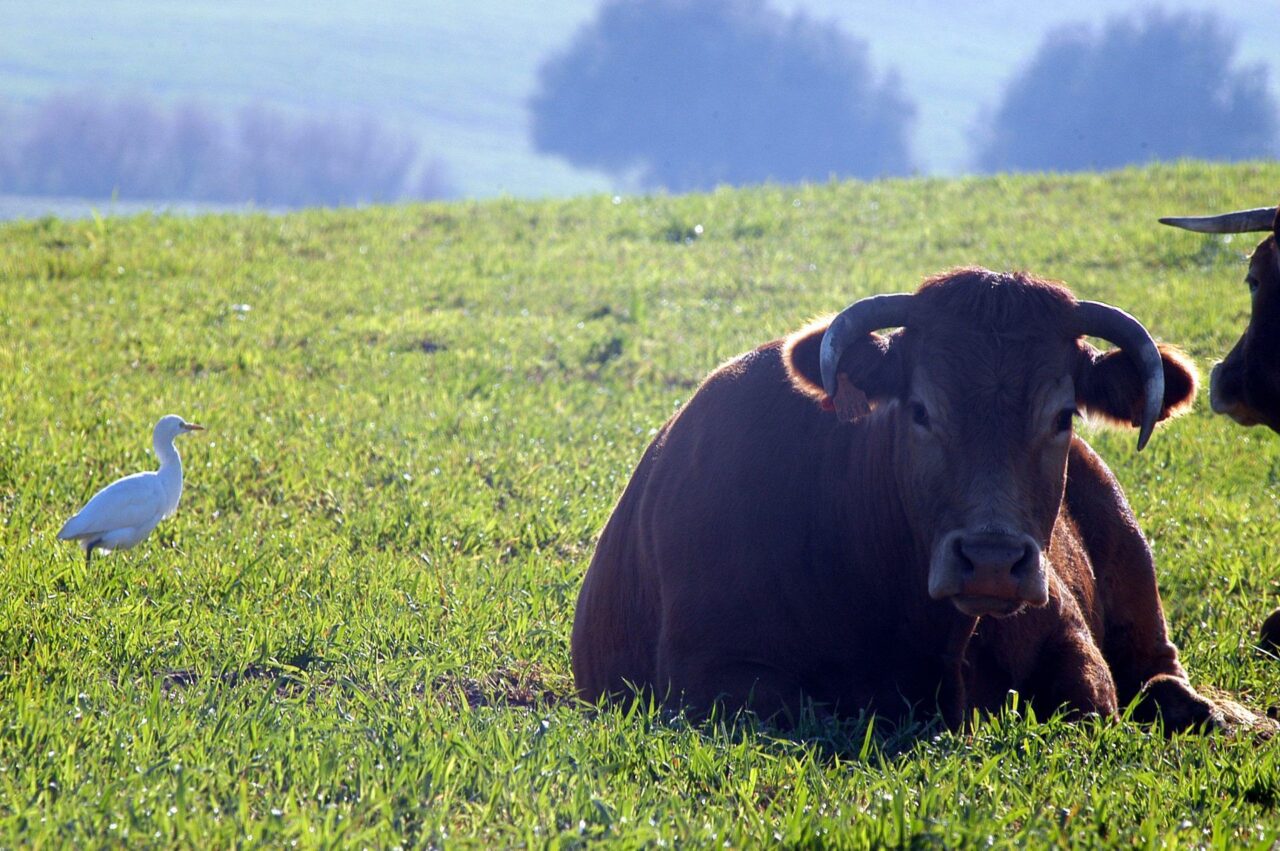 Imagen ¡Hola, mundo!